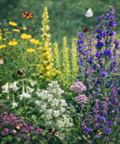 Bloeiende tuin - inheems pakket voor arme grond